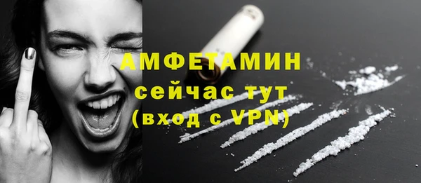 амф Пересвет