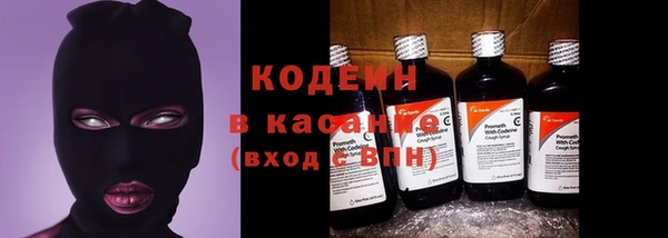 амф Пересвет
