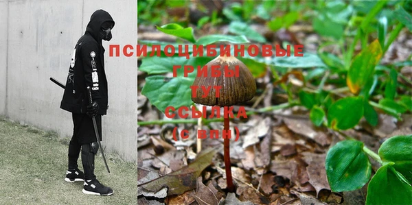 герыч Переславль-Залесский