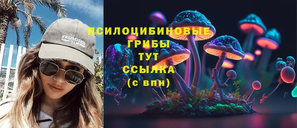 мет Весьегонск