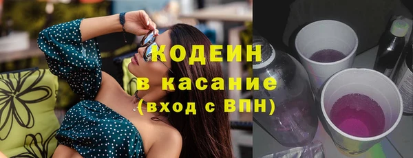 амф Пересвет