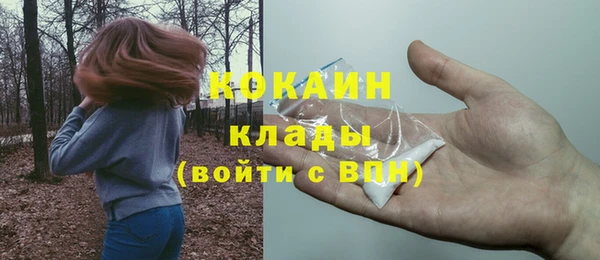 амф Пересвет