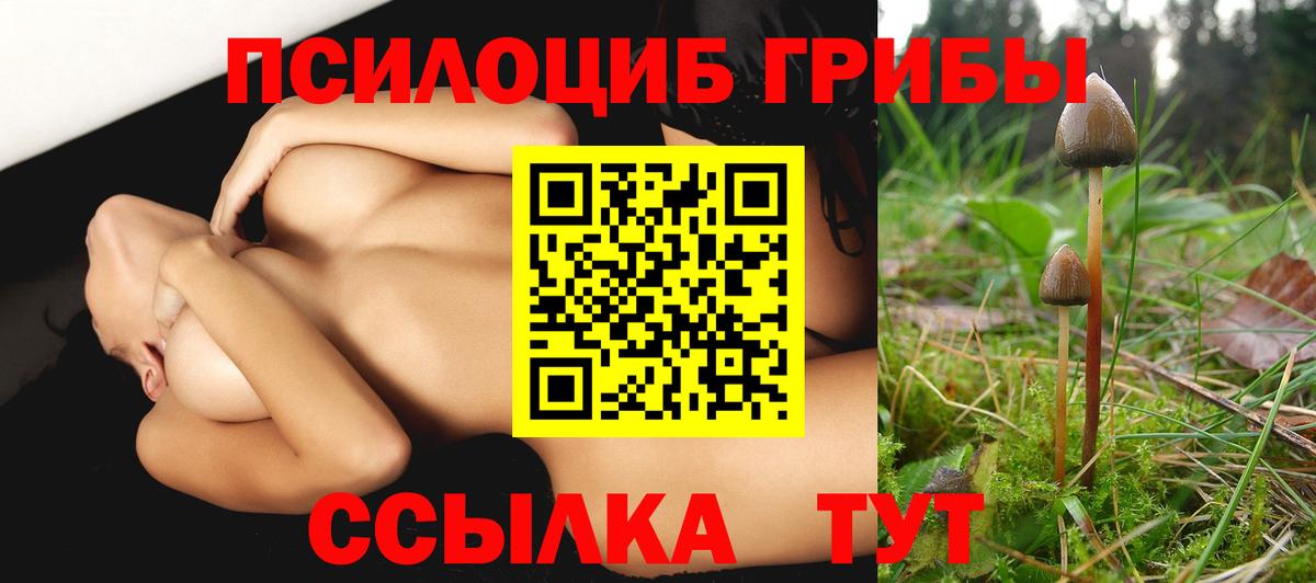 Псилоцибиновые грибы GOLDEN TEACHER Ялуторовск